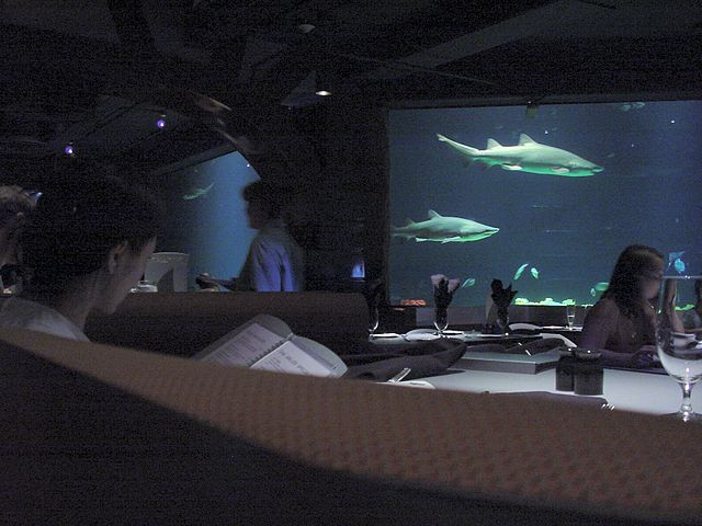 Discovering the World of Underwater Restaurants: Submerged Sensations You Won’t Forget