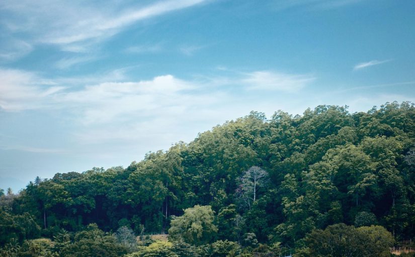 Experiencing Kandy like a Local: Where to Go and What to Do
