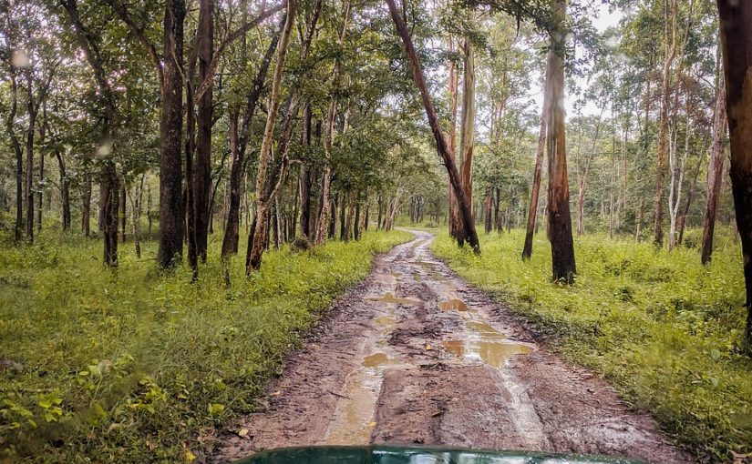 A Complete Guide to Aride Island – Discover Seychelles’ Untouched Wildlife Sanctuary