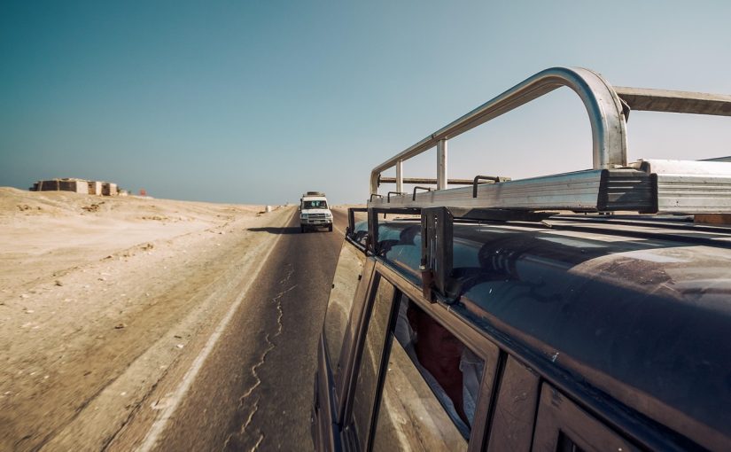 Safari Adventures in Yala: Top Tips for Enjoying an Unforgettable Wildlife Tour during a Trip to Kataragama