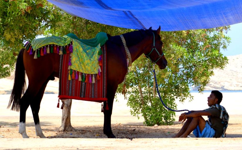 How Does Oman Balance Adventure and Relaxation?: Your Guide to a Well-Rounded Holiday