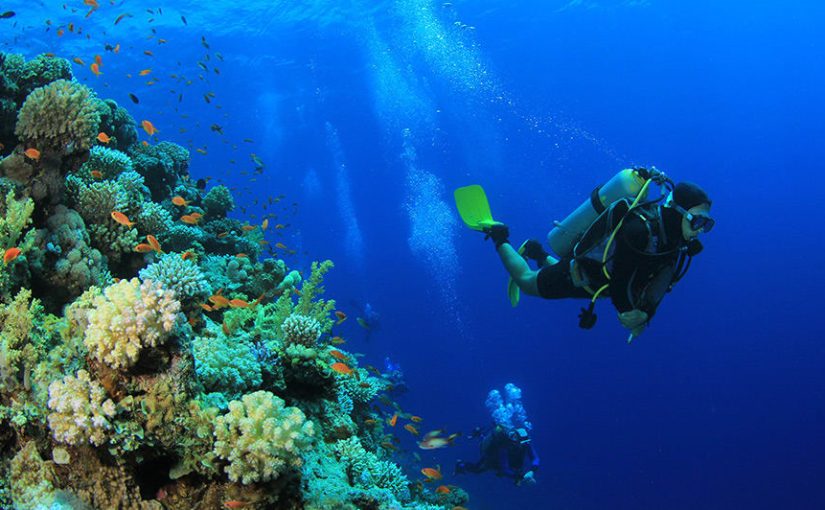 A Guide to Experiencing the Underwater Wonders of the Maldives