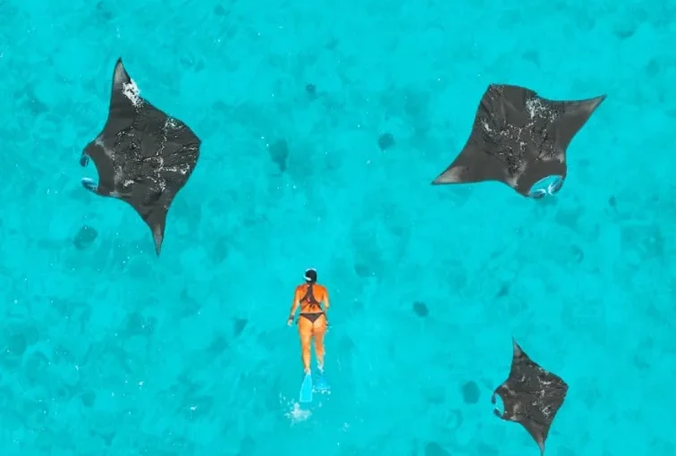 Why The Maldives Continues to Captivate Travellers Worldwide: Where Every Island Feels Like A Dream