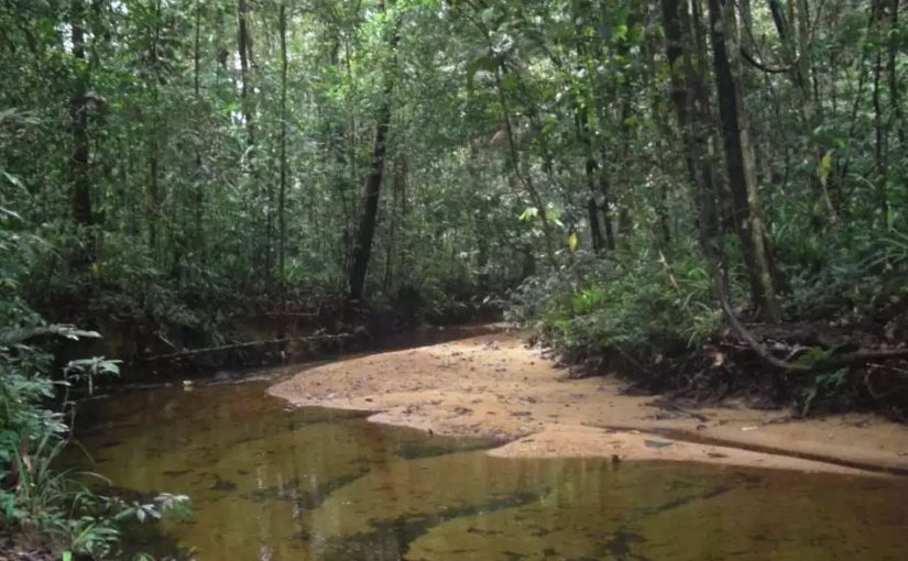 Sinharaja vs Knuckles: Which Hiking Destination Is Right for You?
