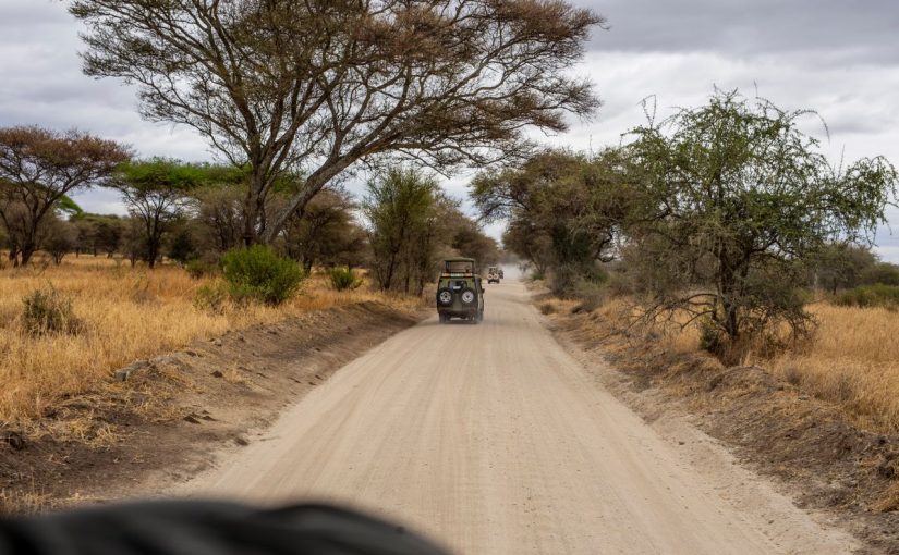 Complete Travel Guide to Tanzania for First-Time Visitors – Enjoy a delightful rendezvous in Tanzania! 