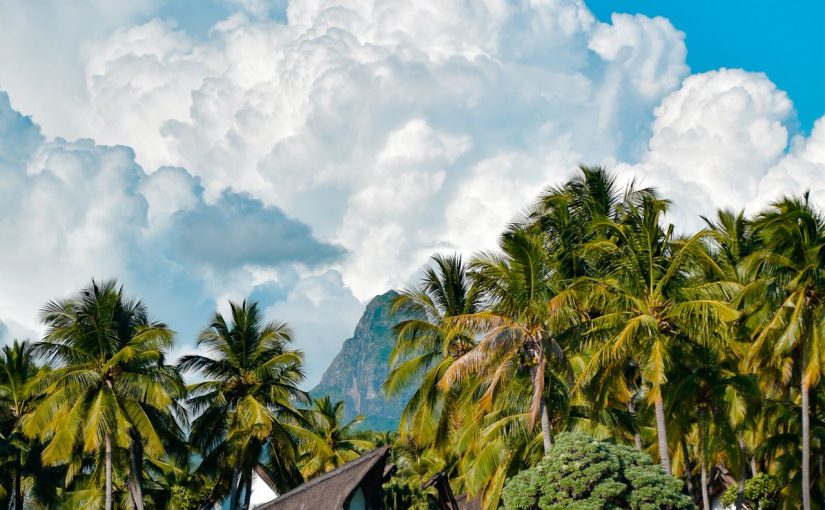 More for Your Money – How to Get the Most Out of a Mauritius Hotel Package