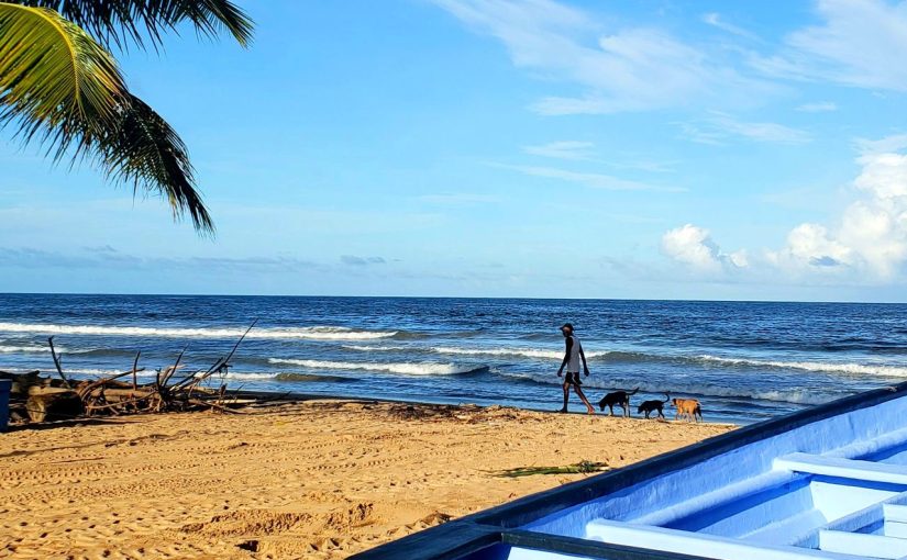 Quiet Waters and Coastal Views: Discover the Beauty of Kalutara Lagoon
