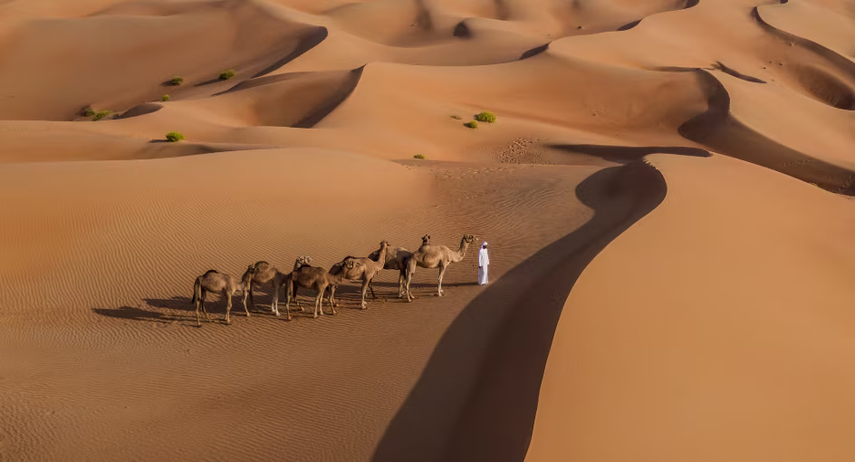Dune Bashing vs Desert Safari: Understanding the Difference