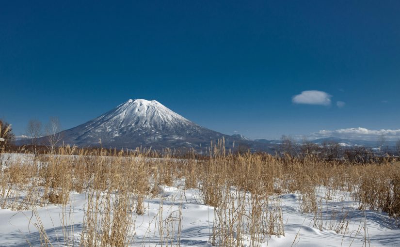What Makes Niseko a Perfect Year-Round Destination Beyond Winter Sports?