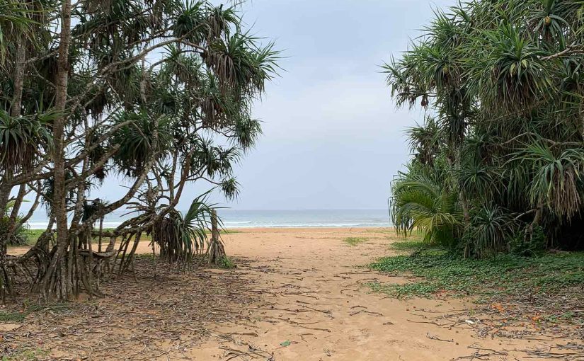 A Guide to Water Sports and Ocean Adventures in Bentota