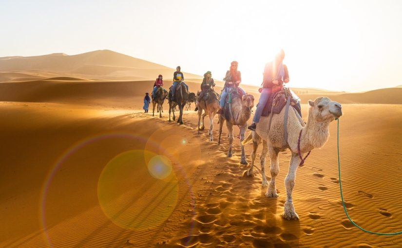 How to Plan a Sahara Adventure From Douz With Camel Rides, Desert Excursions and Cultural Experiences